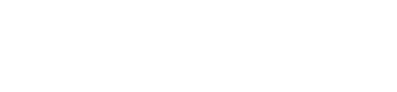 Npcap logo